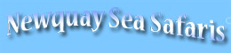 Visit Newquay Sea Safaris and Fishing website